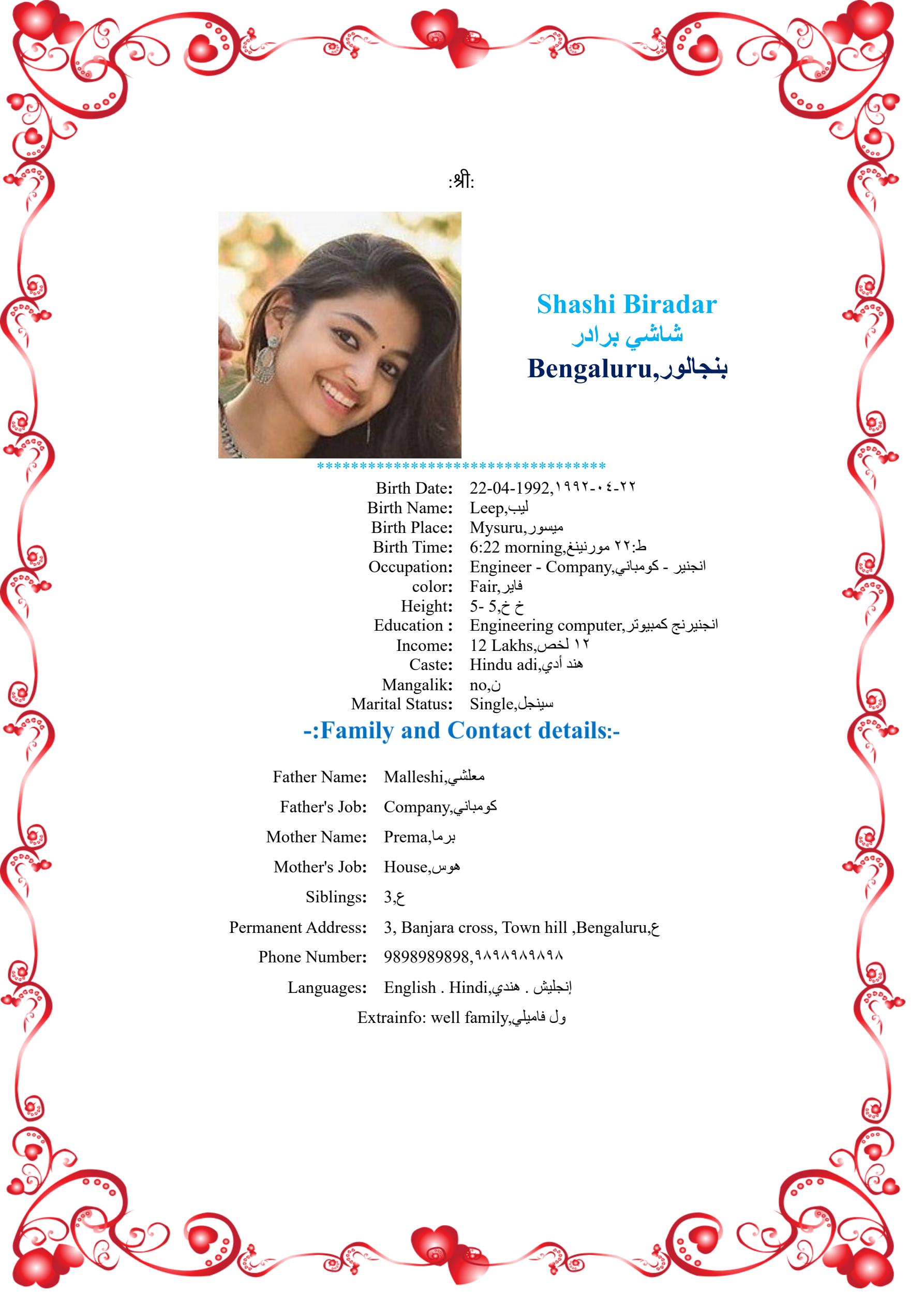 A shaded style framed marriage biodata design for the language Sindhi